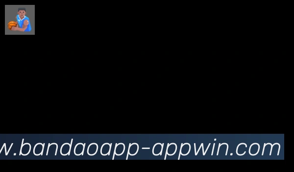 半岛体育app合作伙伴